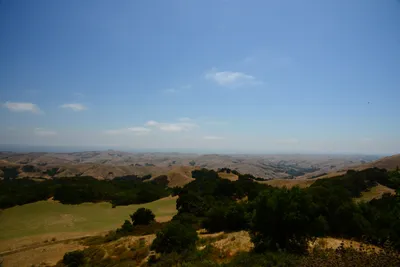 DSC_2489 (Large).JPG